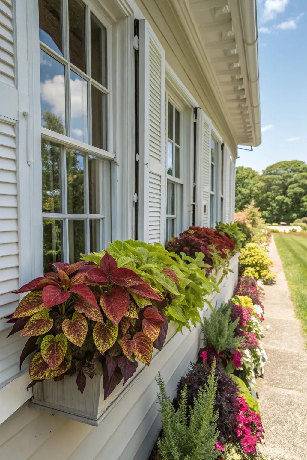 Singular receptacles personalize your painted nettle window box with allure.