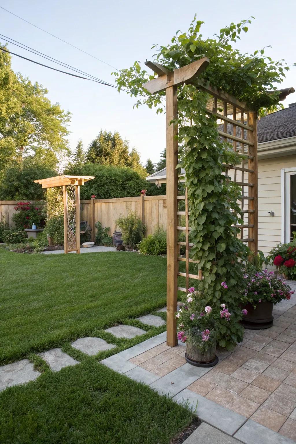 A wooden trellis with climbing plants adding height and interest.