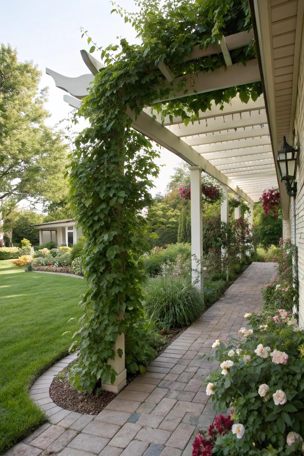 A pergola adds shade and architectural interest.