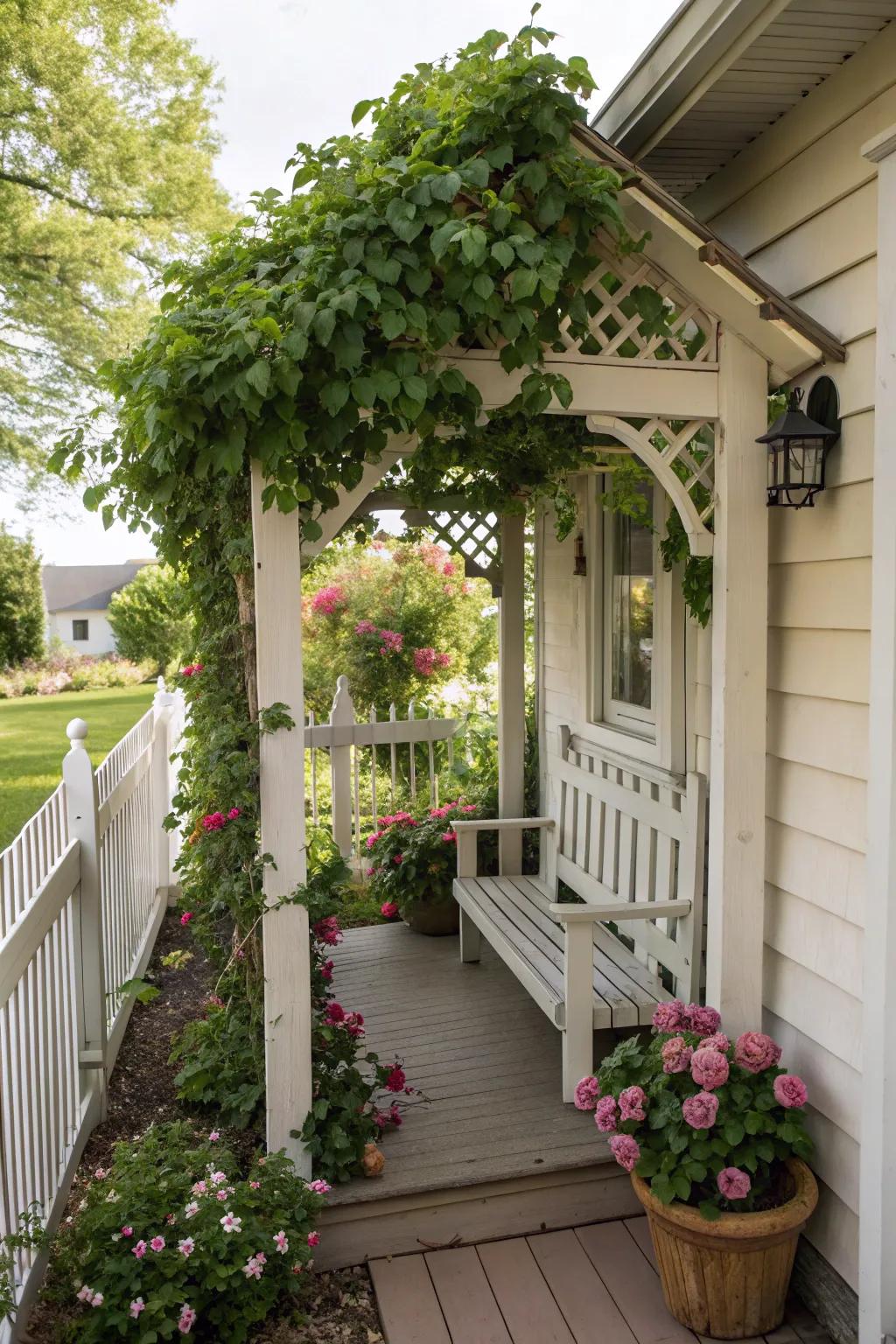 A miniature pergola extends shade and a hint of elegance.