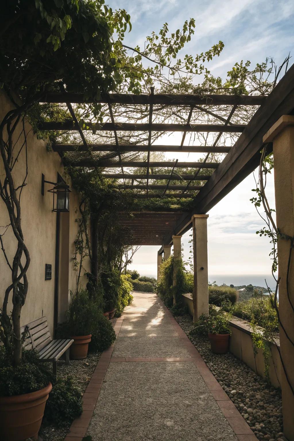 An open-air pergola breezeway that enhances outdoor living with a touch of elegance.