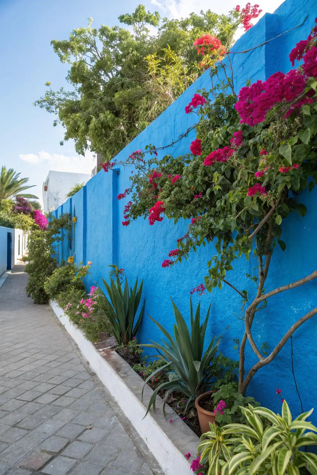 Accent colors add a striking visual element to outdoor walls.