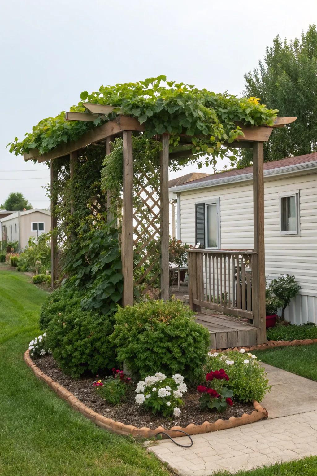 A vine-covered pergola creating a shaded retreat in a mobile home garden.