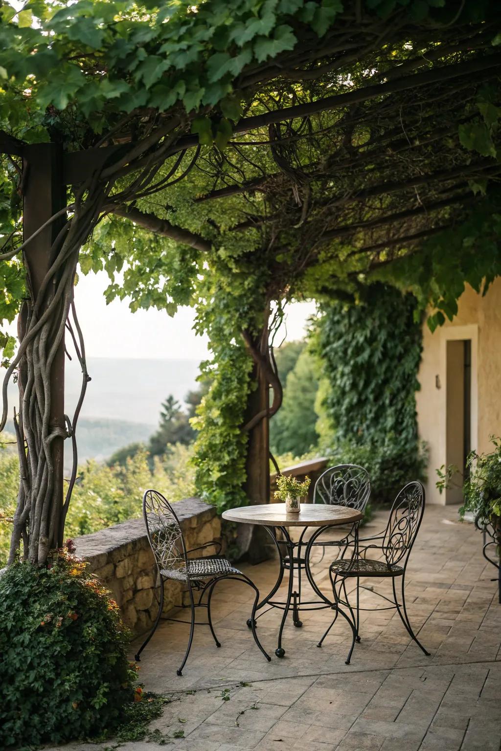 Wrought iron furniture nestled in climbing vines creates a secret garden feel.