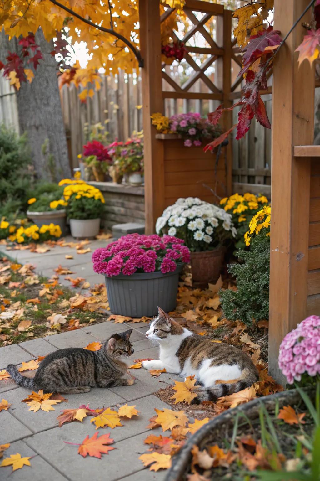 Seasonal decorations bring variety and festivity to your cat's outdoor space.