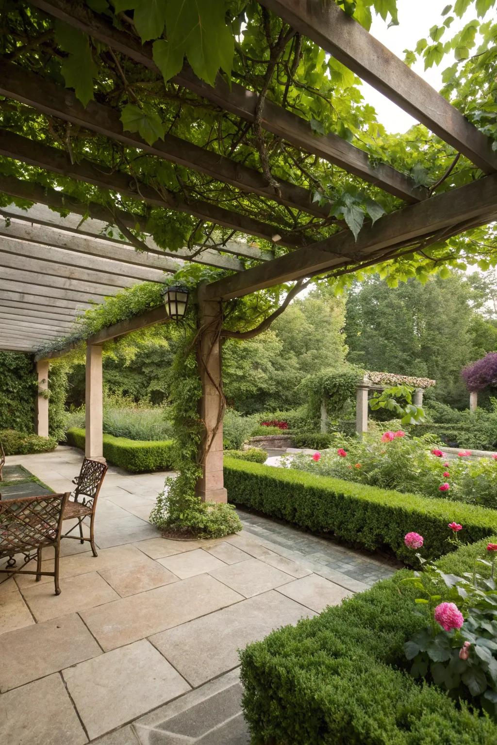 A pergola provides shade and structure.