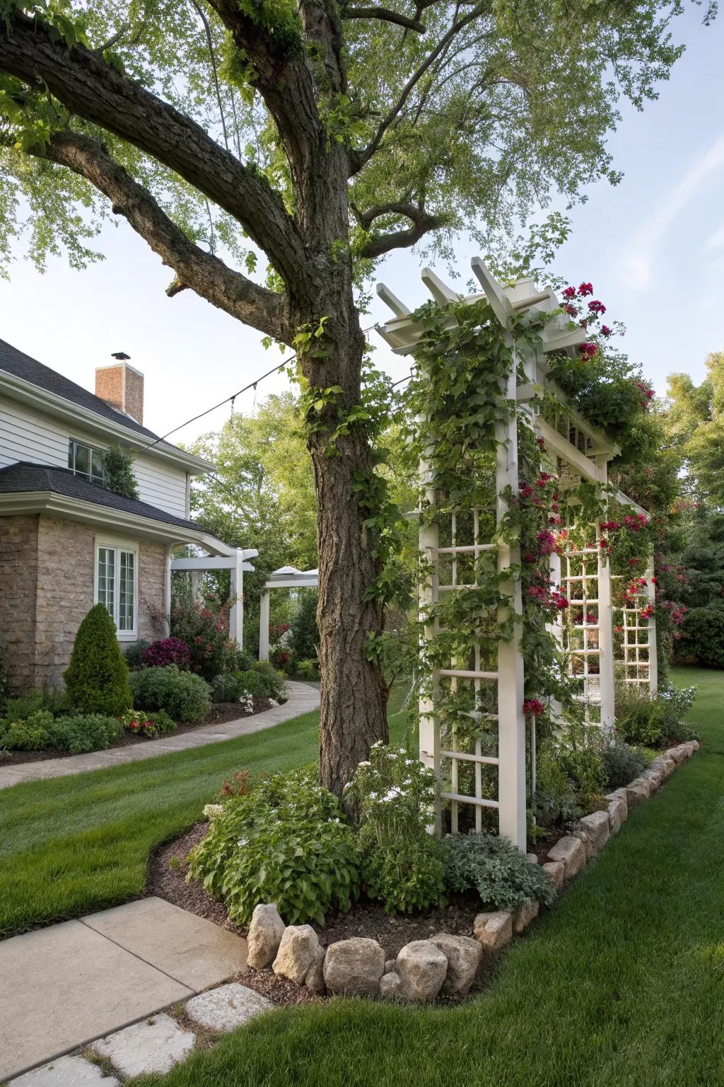 Vertical elements add height and interest to your tree landscape.