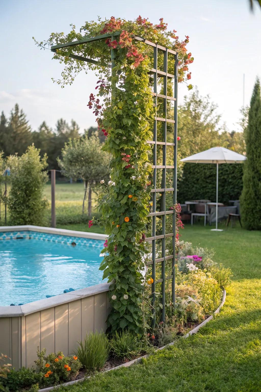 A vertical garden trellis offers privacy and a lush atmosphere.