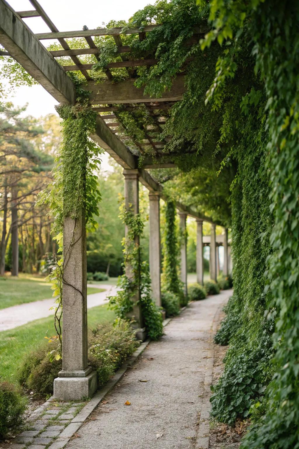 A pergola with a vertical garden offers a refreshing green touch to small patios.