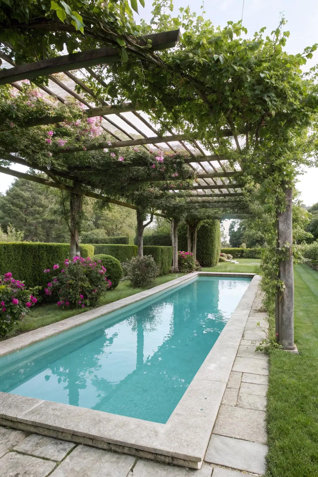 A pergola with climbing plants offers natural beauty and shade.