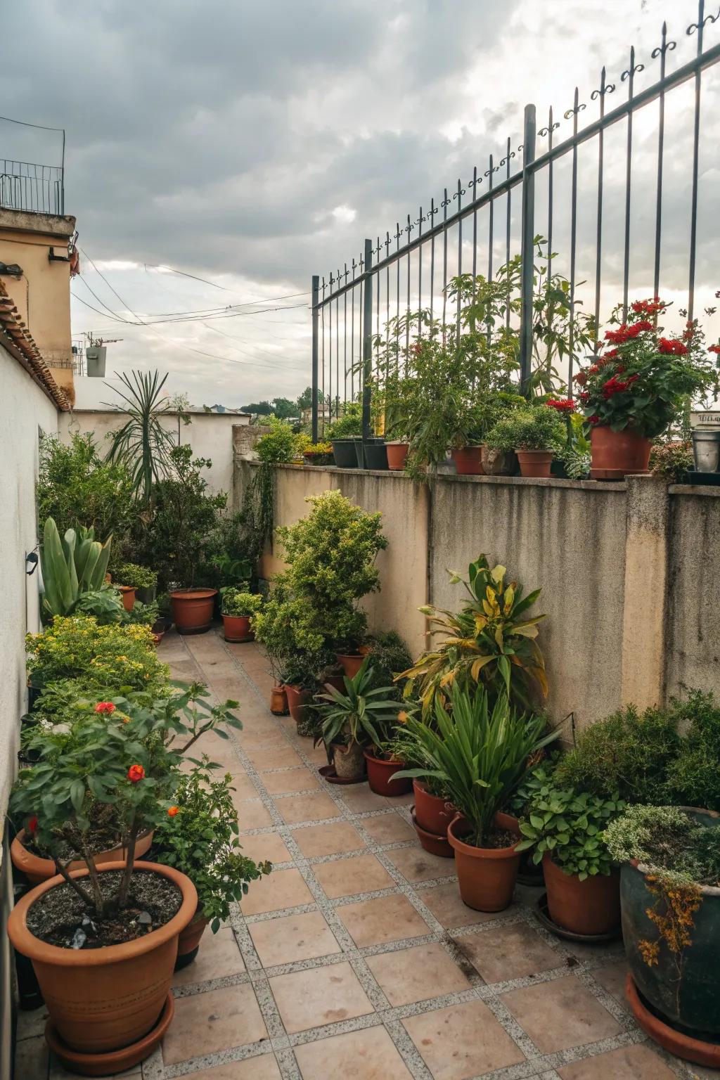 Potted plants metamorphose a patio into a verdant sanctuary.