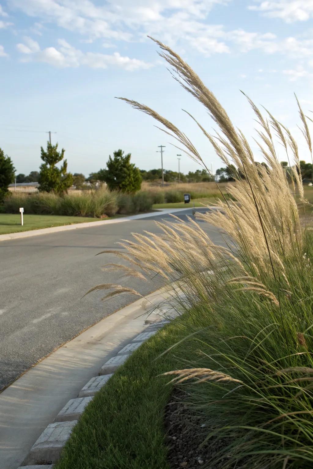 Dynamic decorative grasses contributing dimension to a driveway corner.