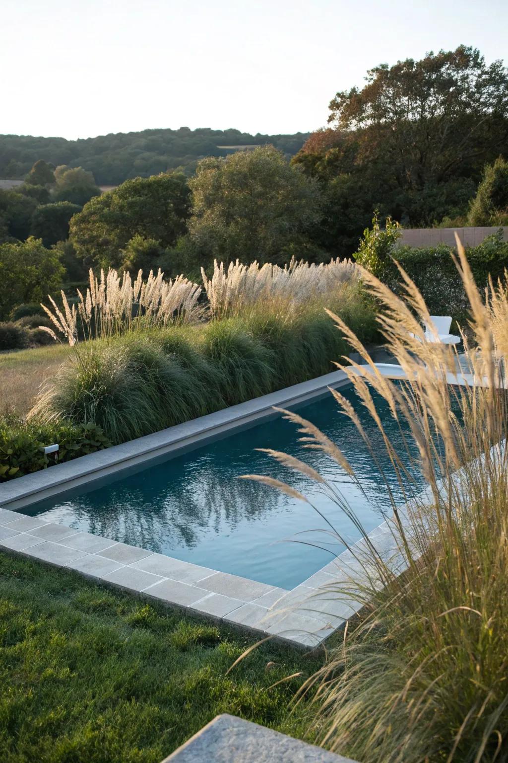 Tall grasses provide a lush and dynamic frame for the pool.