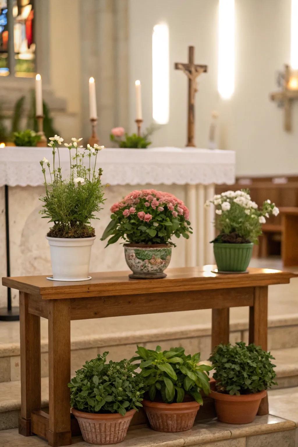 Infuse natural energy with plants on your altar.