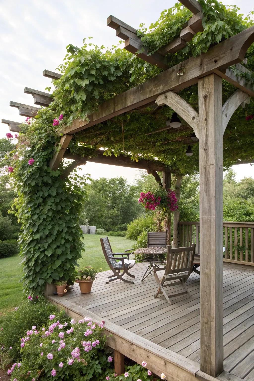 A pergola adds elegance and shade to your deck.