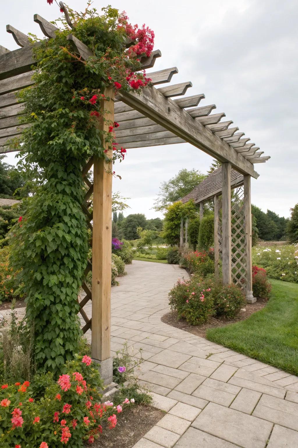 Framework integration cultivates a vibrant, organic blueprint.