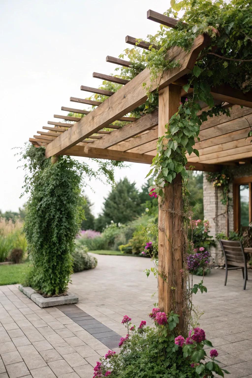 A pergola can provide shade and visual interest.