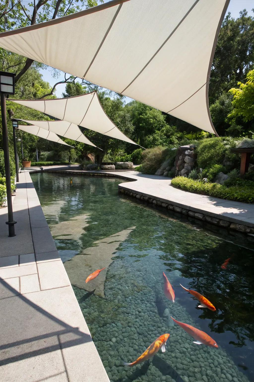 A koi pond showcasing sail shades, projecting a refined, contemporary image.