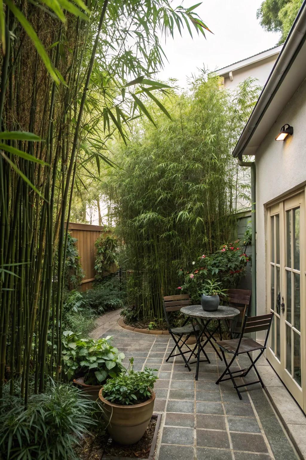 Lofty plants furnish a natural privacy resolution.