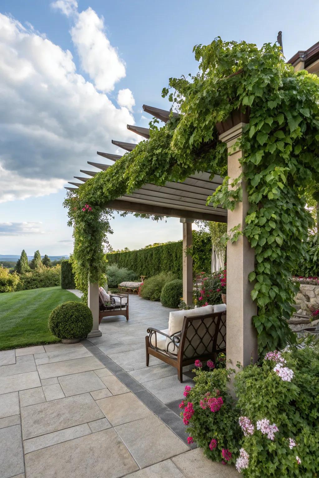 A pergola offers both shade and a structure for beautiful climbing plants.