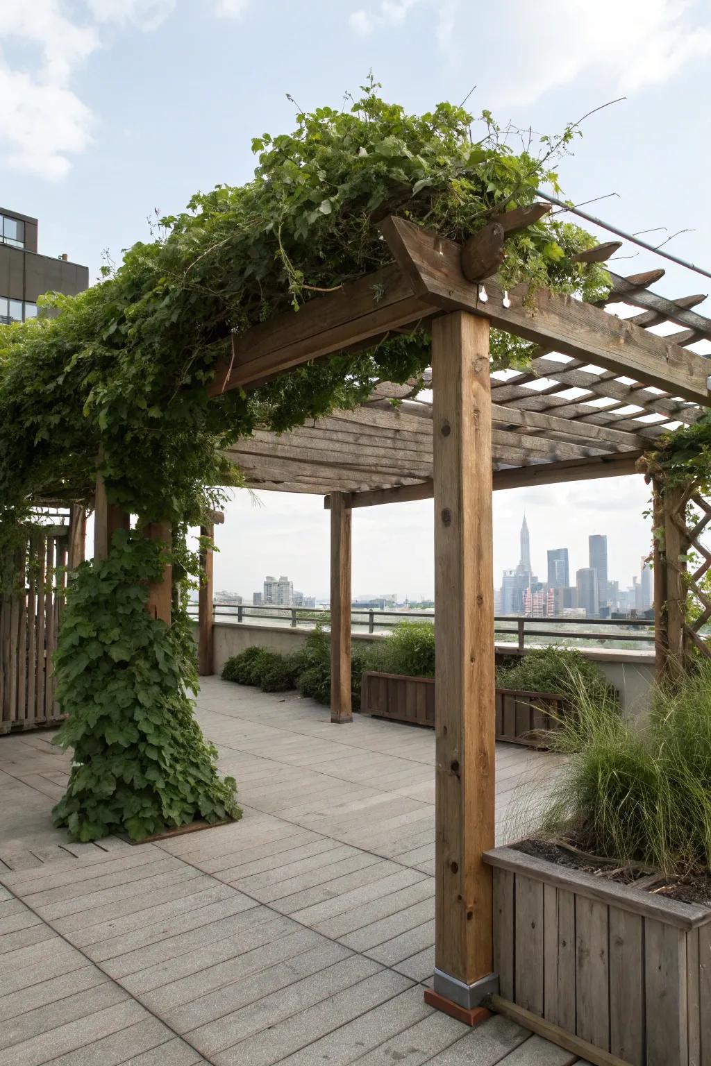 A pergola offers both shade and style to your rooftop.