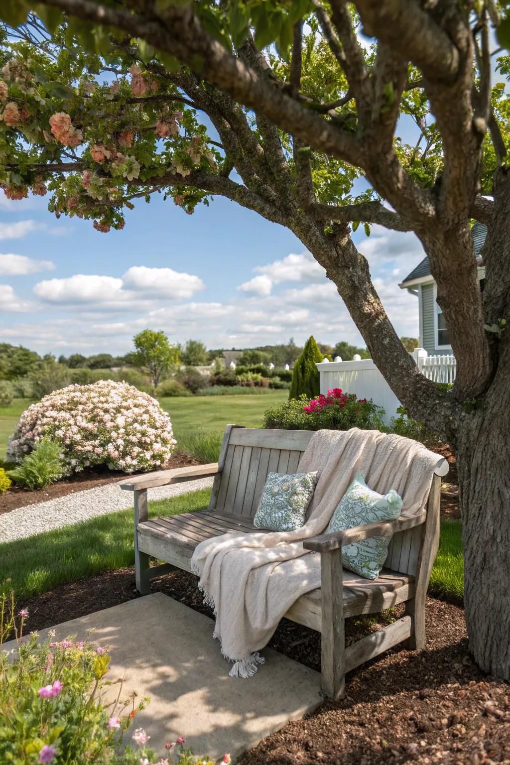 A seating area provides a relaxing spot under the shade of a tree.