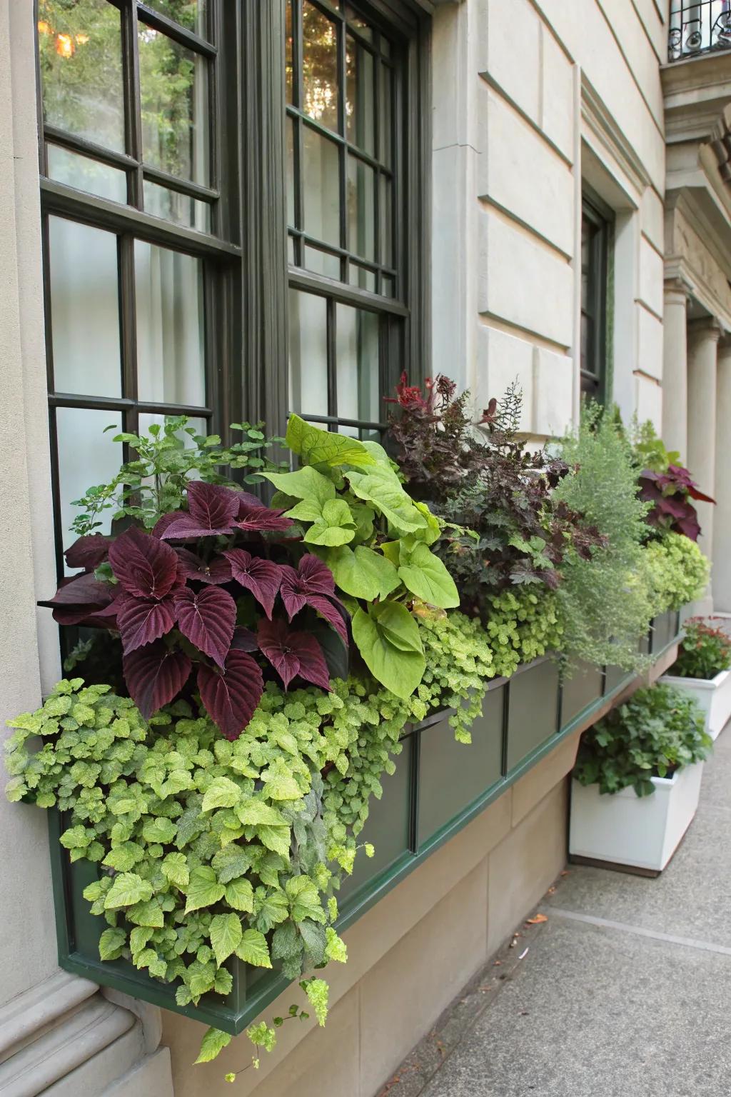 A monochromatic verdant palette crafts a sophisticated window box.