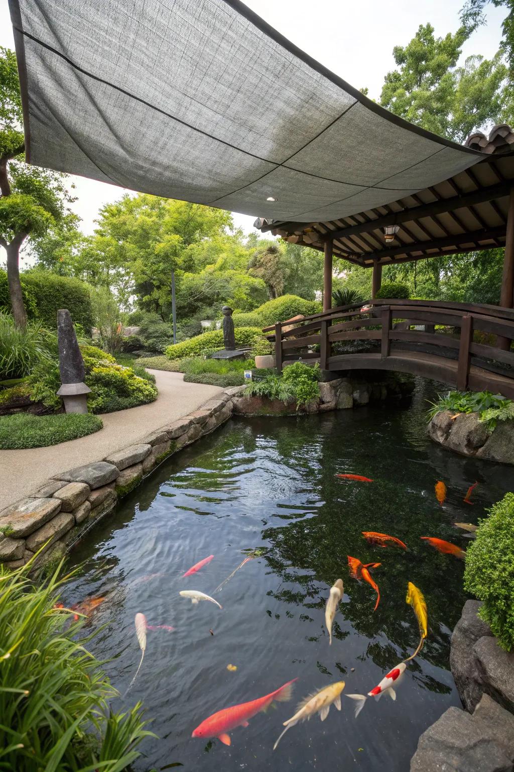 A koi pond with a DIY tarp shade providing budget-friendly shelter.
